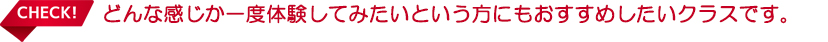 どんな感じか一度体験してみたいという方にもおすすめしたいクラスです